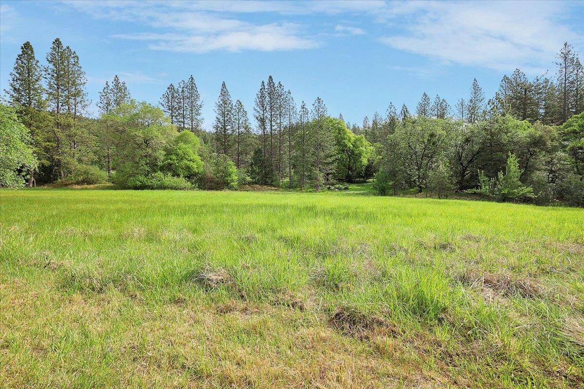 14937 Fountain House Road Dobbins, CA 95935 - Photo 48 of 71