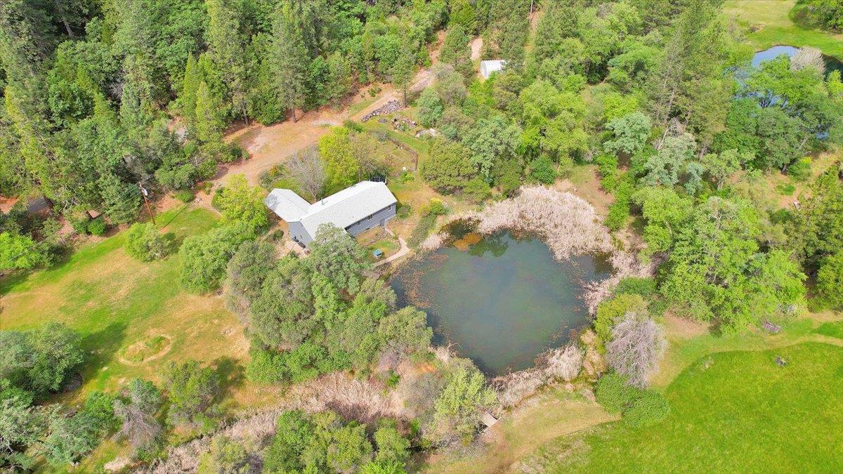 14937 Fountain House Road Dobbins, CA 95935 - Photo 54 of 71