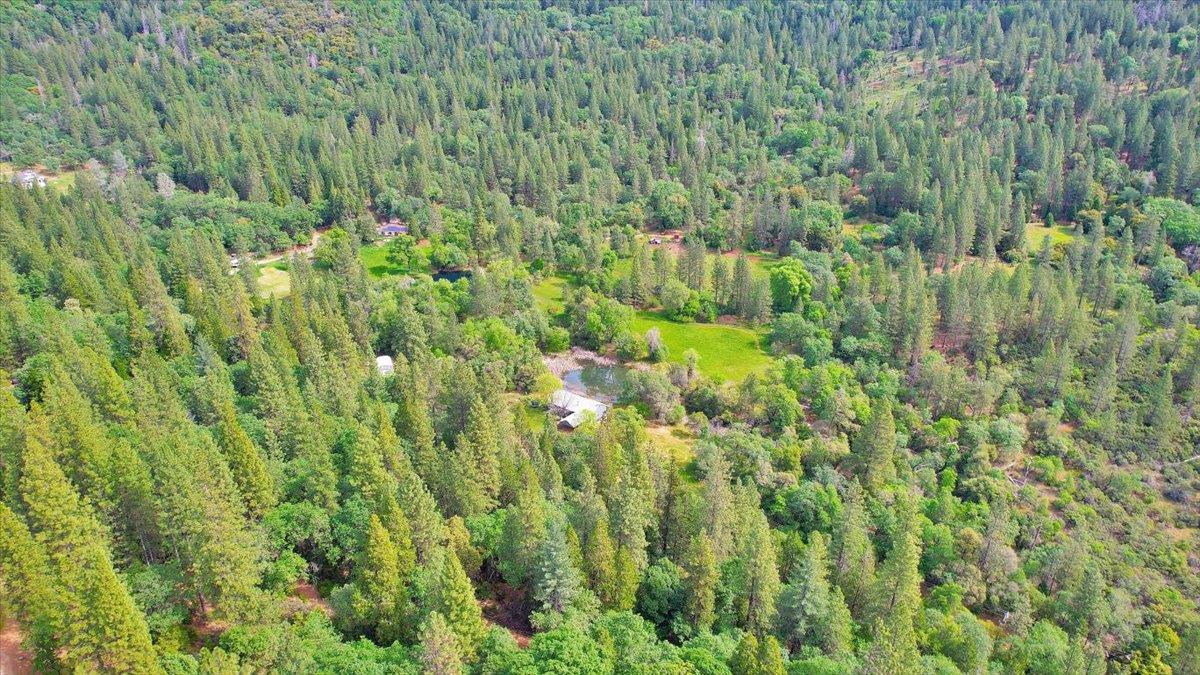 14937 Fountain House Road Dobbins, CA 95935 - Photo 57 of 71