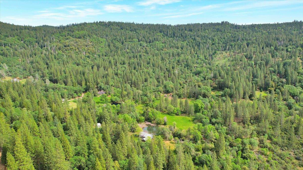 14937 Fountain House Road Dobbins, CA 95935 - Photo 58 of 71