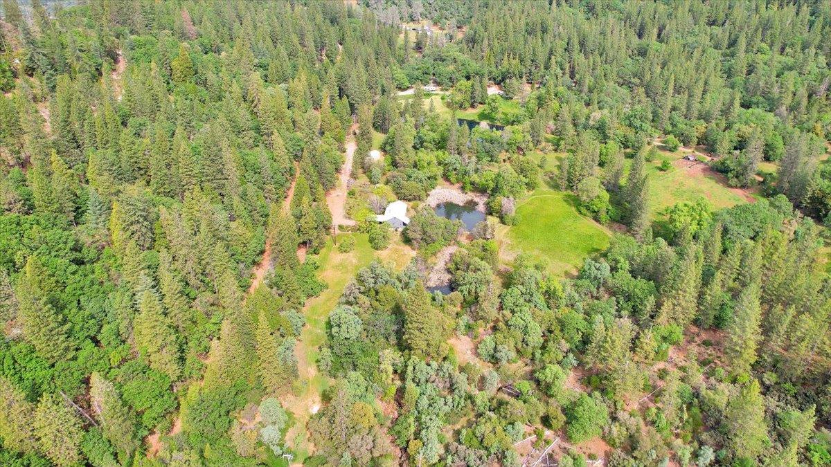 14937 Fountain House Road Dobbins, CA 95935 - Photo 61 of 71