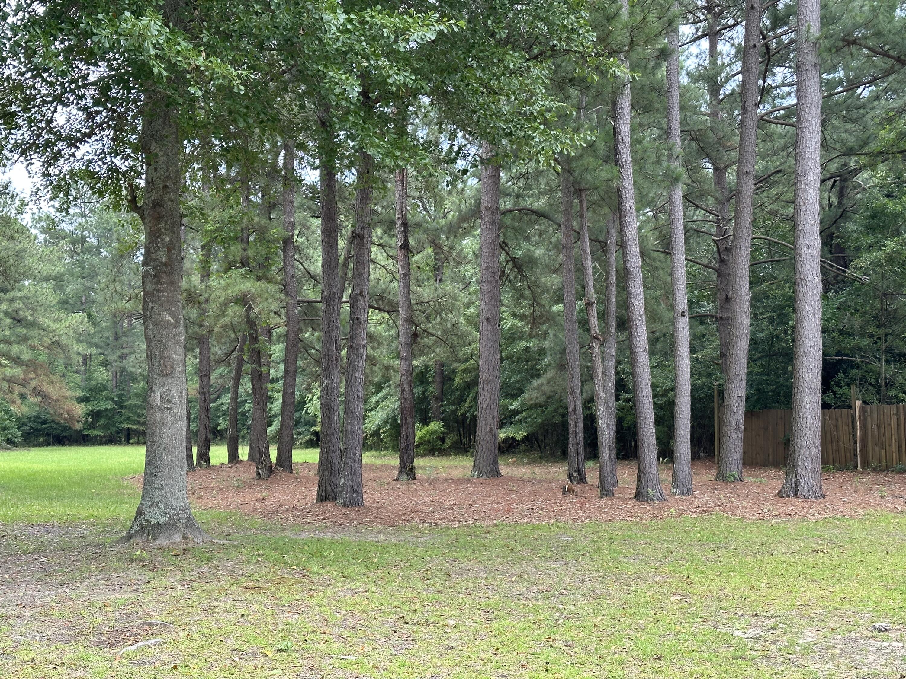 1354 Davis Bridge Road Williston, SC 29853 - Photo 10 of 45