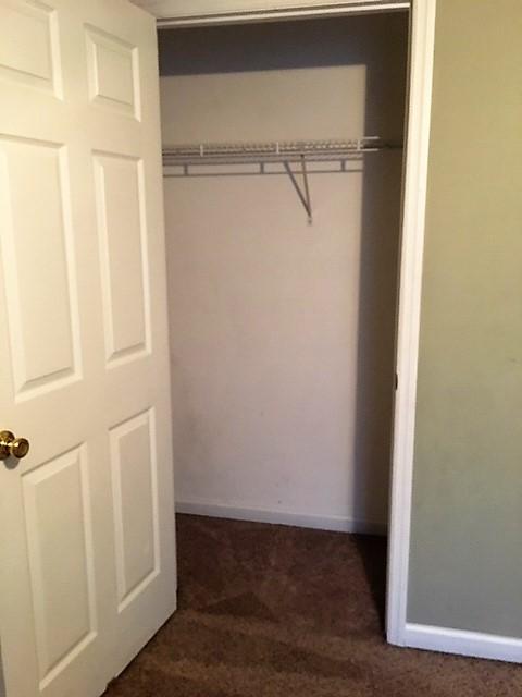 1045 North Long Hollow Road Chickamauga, GA 30707 - Photo 14 of 25 1045 lhr closet