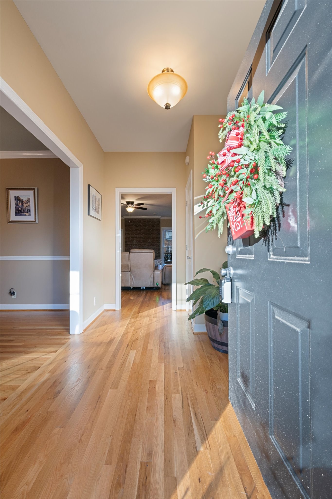 2403 Franklin Lane Murfreesboro, TN 37130 - Photo 7 of 27 a living room with furniture and a potted plant