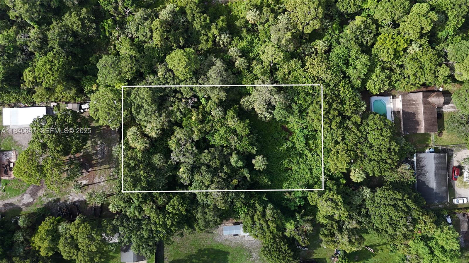 1 Tennessee Avenue Fort Pierce, FL 34947 - Photo 5 of 17 a view of a forest