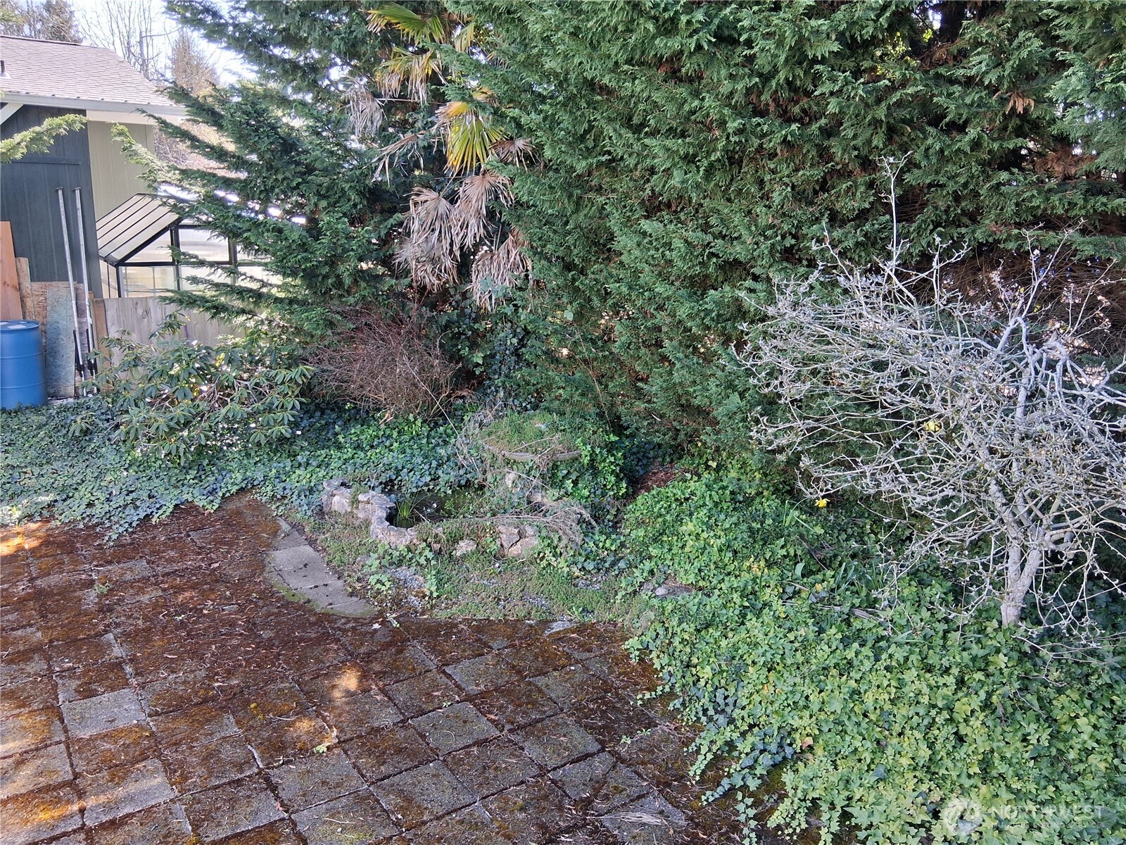 815 124th Street Southwest, Unit 36 Everett, WA 98204 - Photo 30 of 33 a view of a large yard with lots of green space