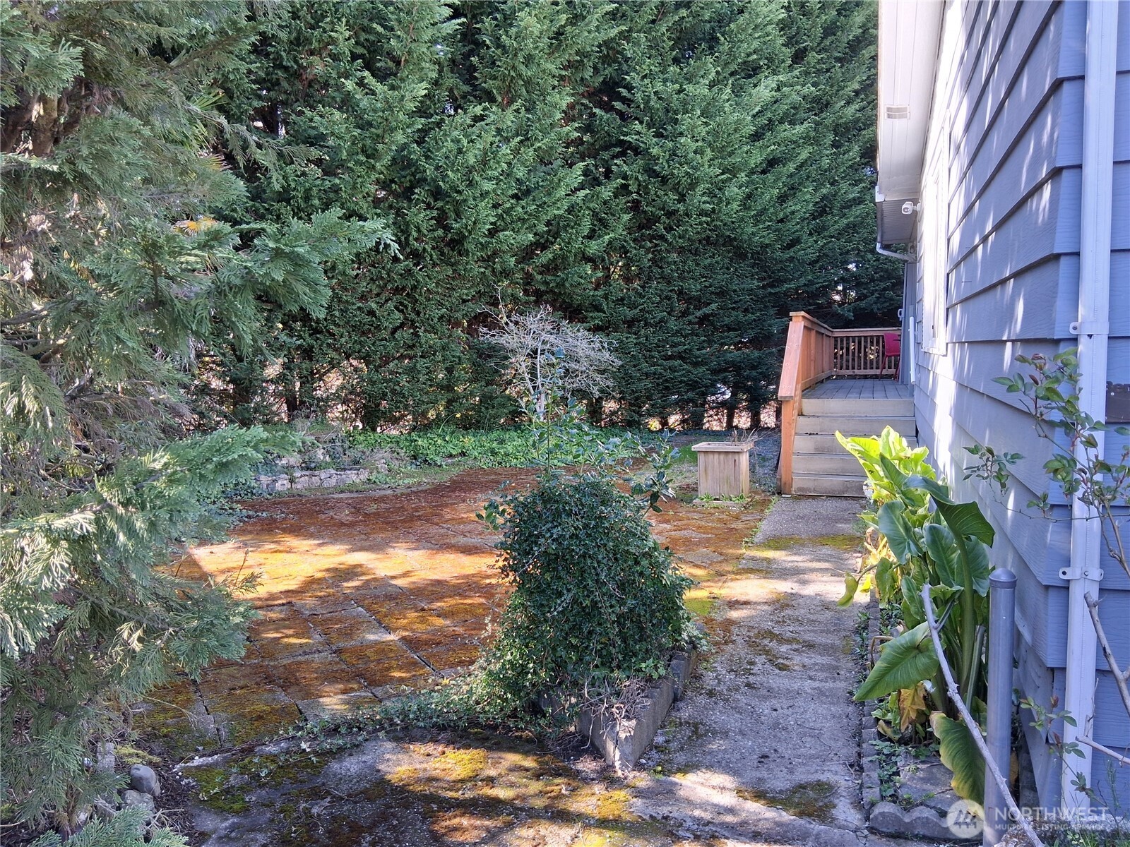 815 124th Street Southwest, Unit 36 Everett, WA 98204 - Photo 3 of 33 a view of a yard with plants and large trees
