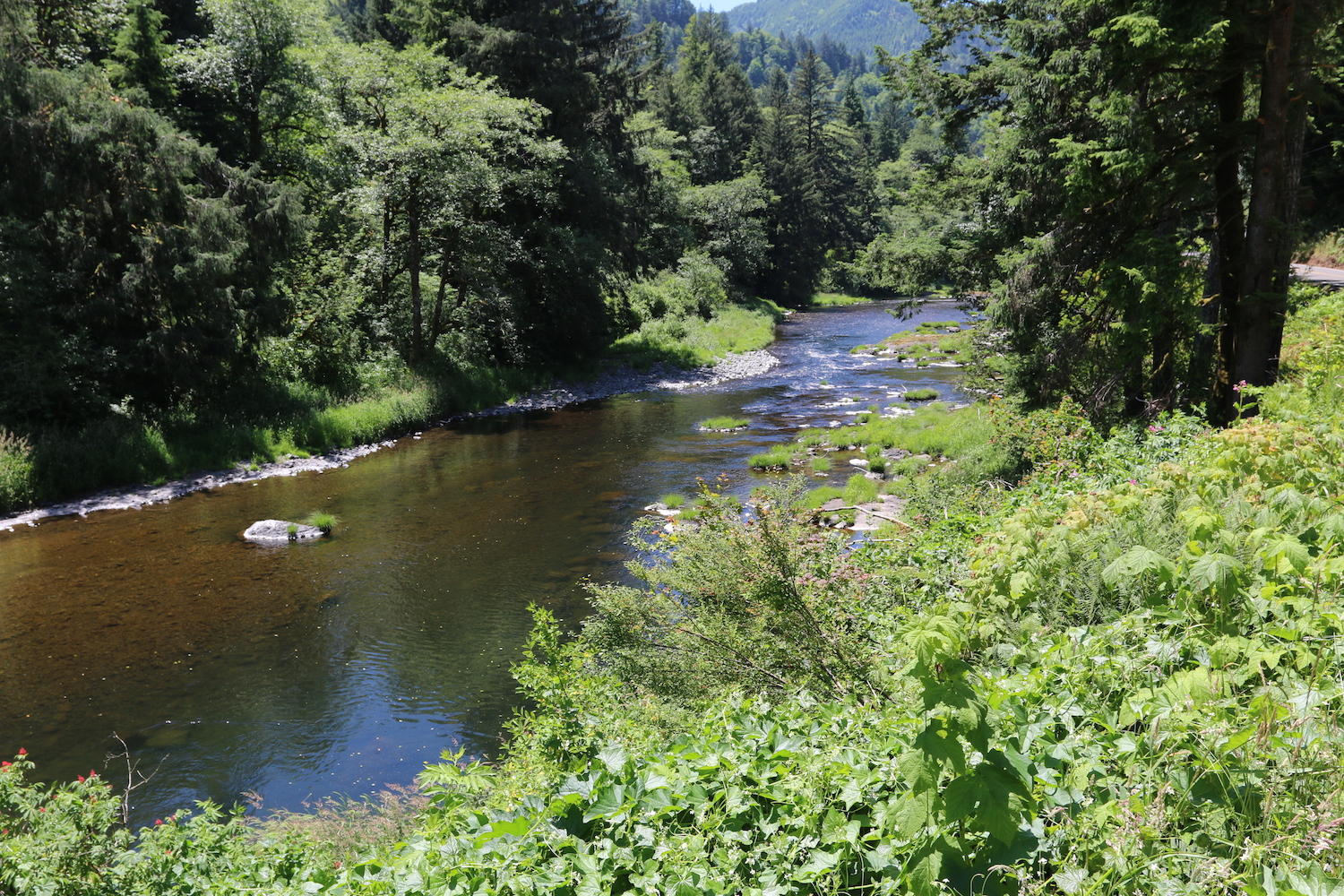 Vl Vl Trask River Road Tillamook, OR 97141 - Photo 4 of 10 IMG_0952