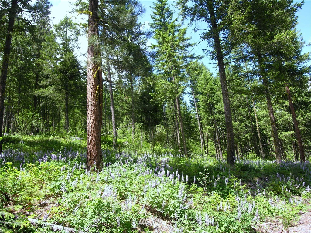 17 Mckinney Road Winthrop, WA 98862 - Photo 12 of 19 Gallery Image 12