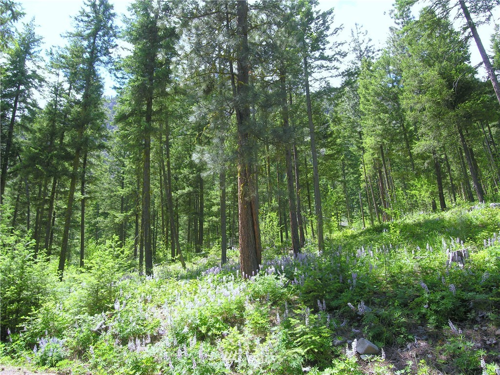 17 Mckinney Road Winthrop, WA 98862 - Photo 13 of 19 Gallery Image 13