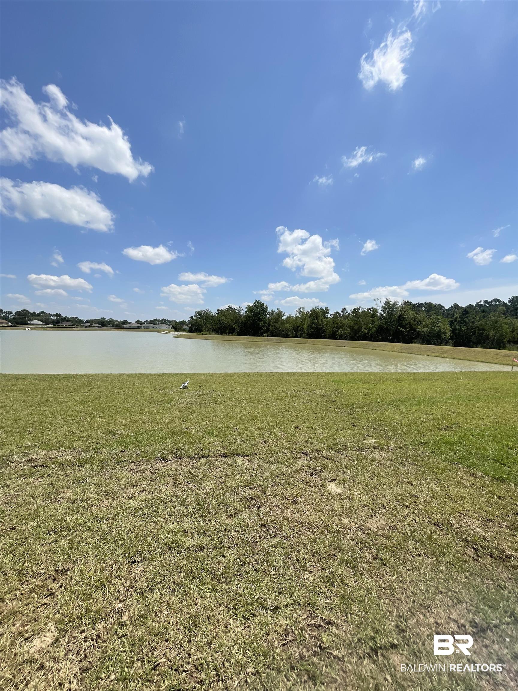 8675 Summer Bay Lane Foley, AL 36535 - Photo 11 of 11