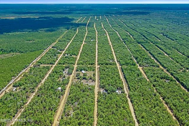 $8,000 | Blk21-lot25 Creager Avenue, Interlachen, FL 32148