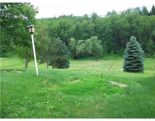 584 Joffre Bulger Road Bulger, PA 15019 - Photo 4 of 5 Yard/Garden.