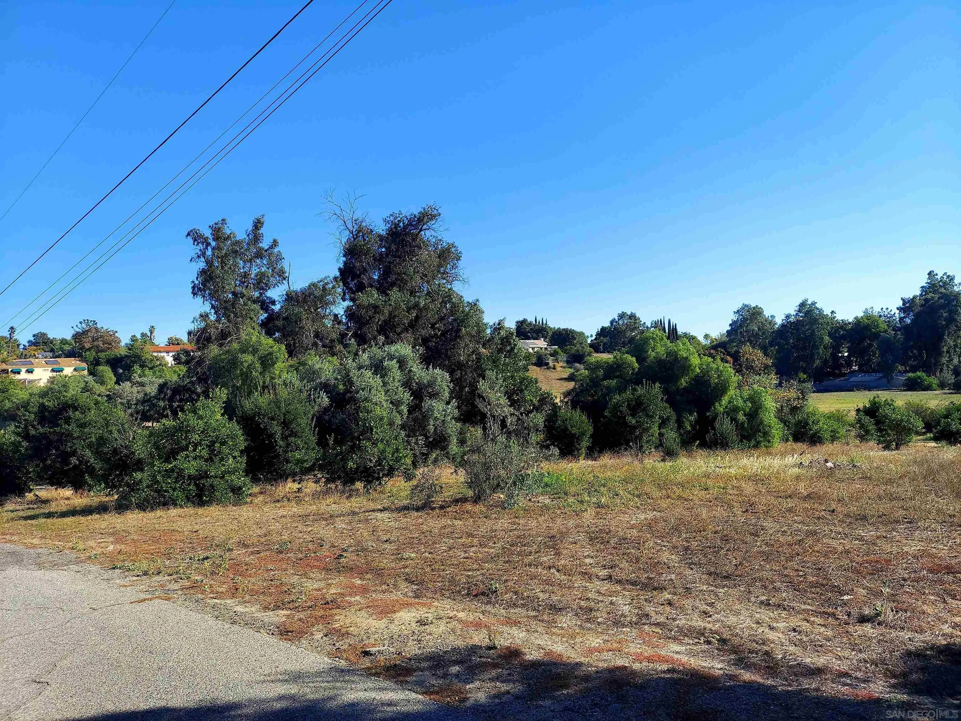 730 Constant Creek Road, Unit 1060117500 Fallbrook, CA 92028 - Photo 18 of 22 a view of a dry yard with trees