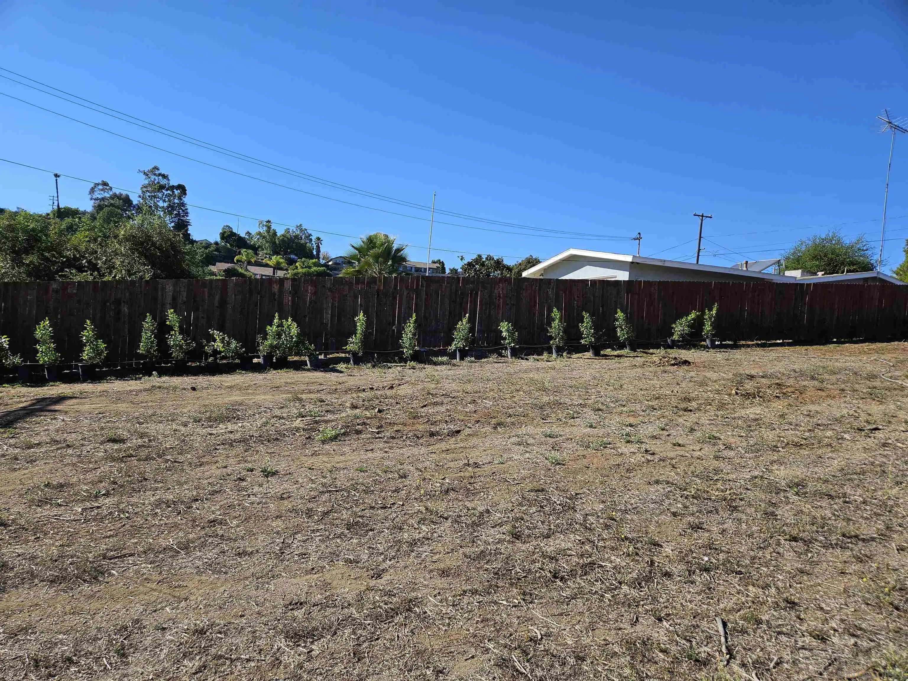 730 Constant Creek Road, Unit 1060117500 Fallbrook, CA 92028 - Photo 5 of 22 a view of large yard
