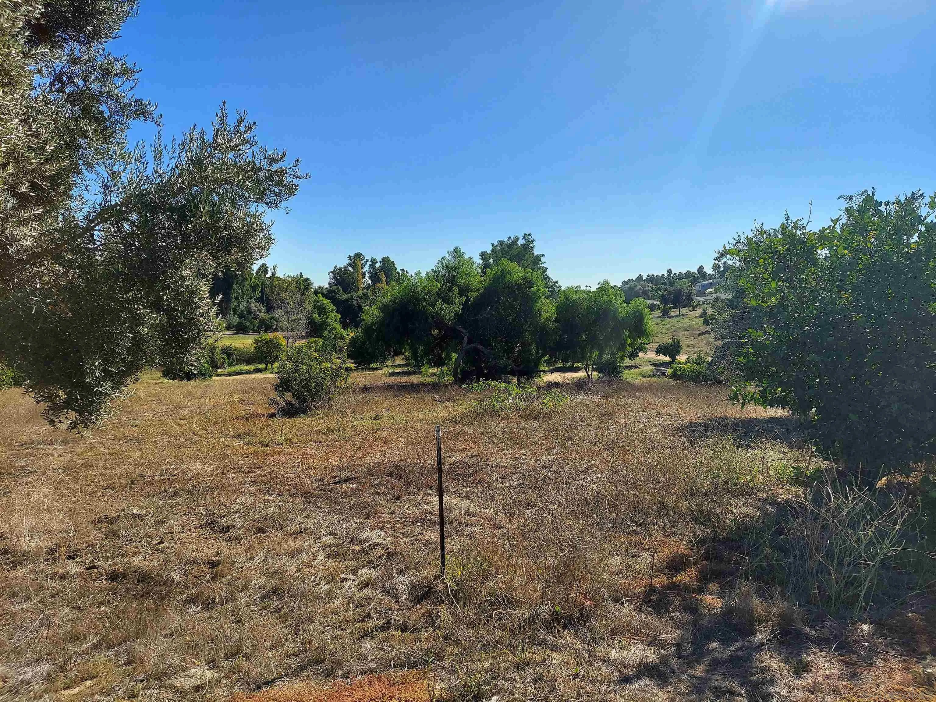 730 Constant Creek Road, Unit 1060117500 Fallbrook, CA 92028 - Photo 8 of 22 a view of a backyard