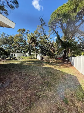 a view of dirt yard with a large tree