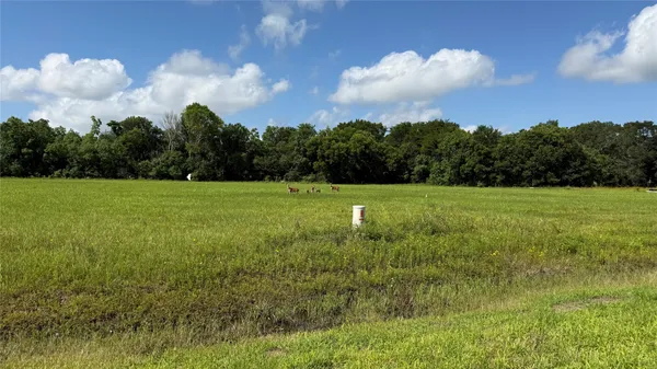 $35,000 | 1008 Chuckwagon Trail, Angleton, TX 77515