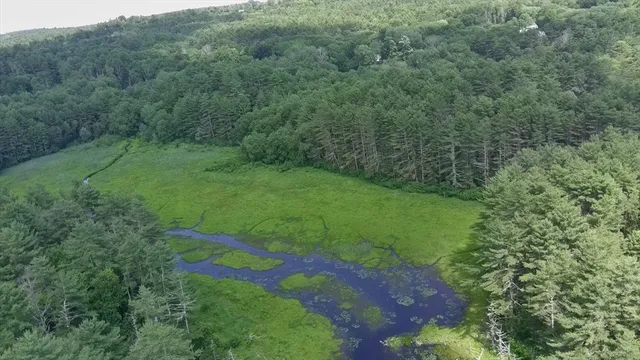 a view of a green field with lots of bushes