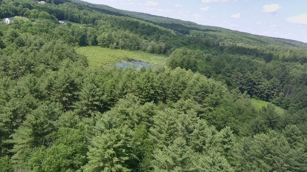a view of a green field with lots of bushes