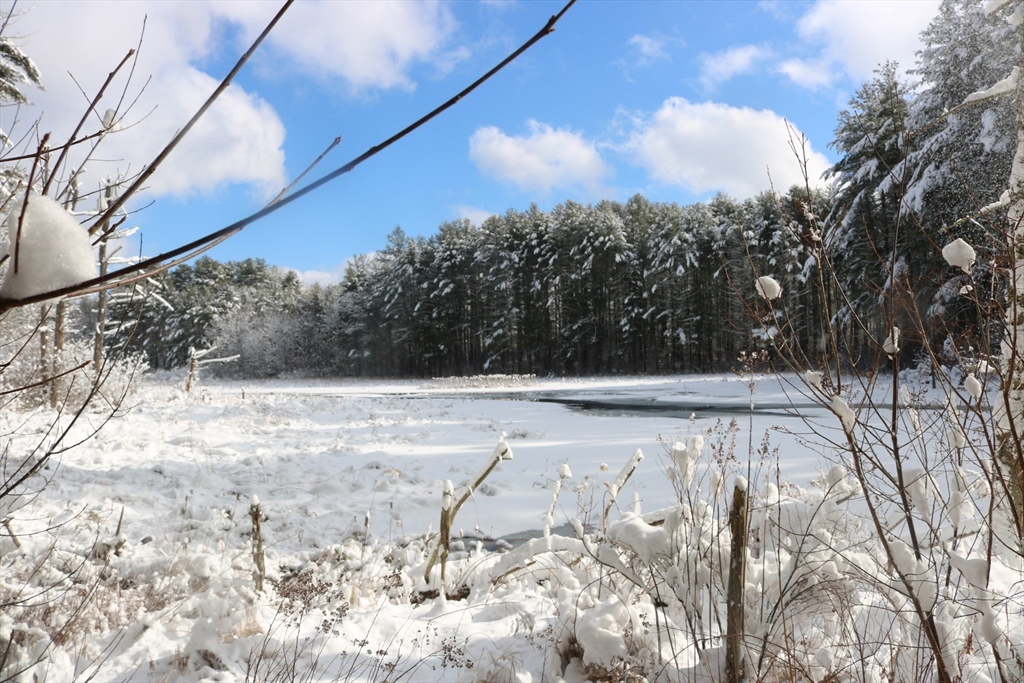 0 Blood Road Charlton, MA 01507 - Photo 3 of 5 a view of backyard space