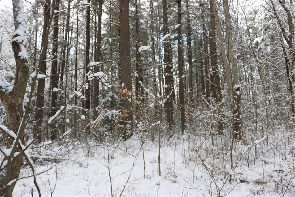 0 Blood Road Charlton, MA 01507 - Photo 5 of 5 a view of covered with snow