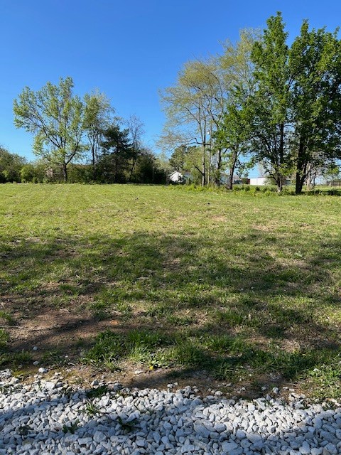 0 Rambaugh Burns, TN 37029 - Photo 20 of 21 a view of a garden with trees
