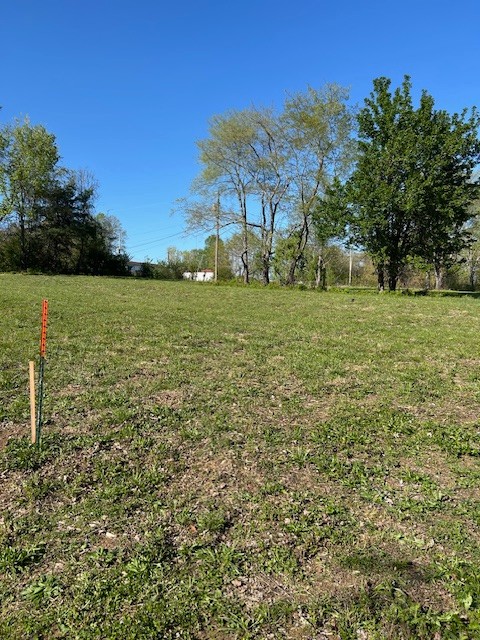 0 Rambaugh Burns, TN 37029 - Photo 21 of 21 a view of a field with an trees