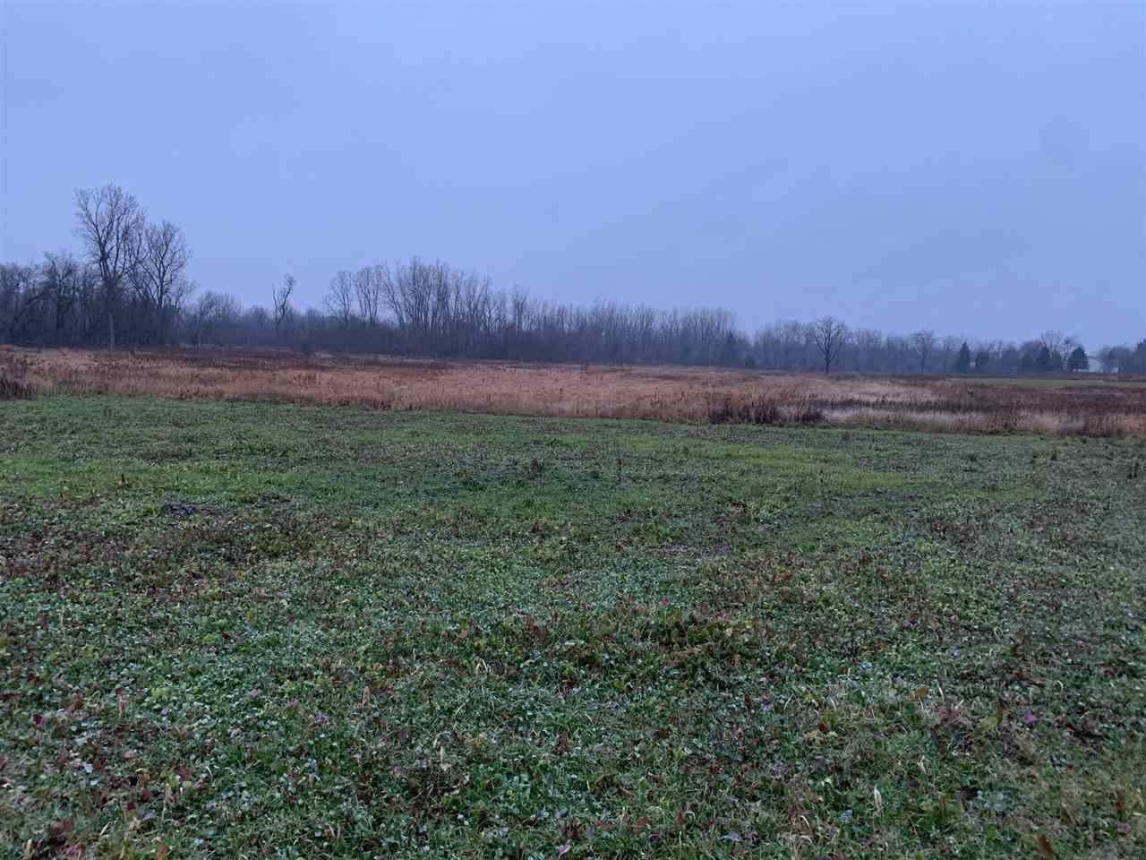 0 Britton Road Morrice, MI 48857 - Photo 2 of 9