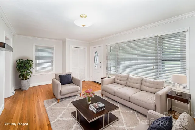 a living room with furniture and a potted plant