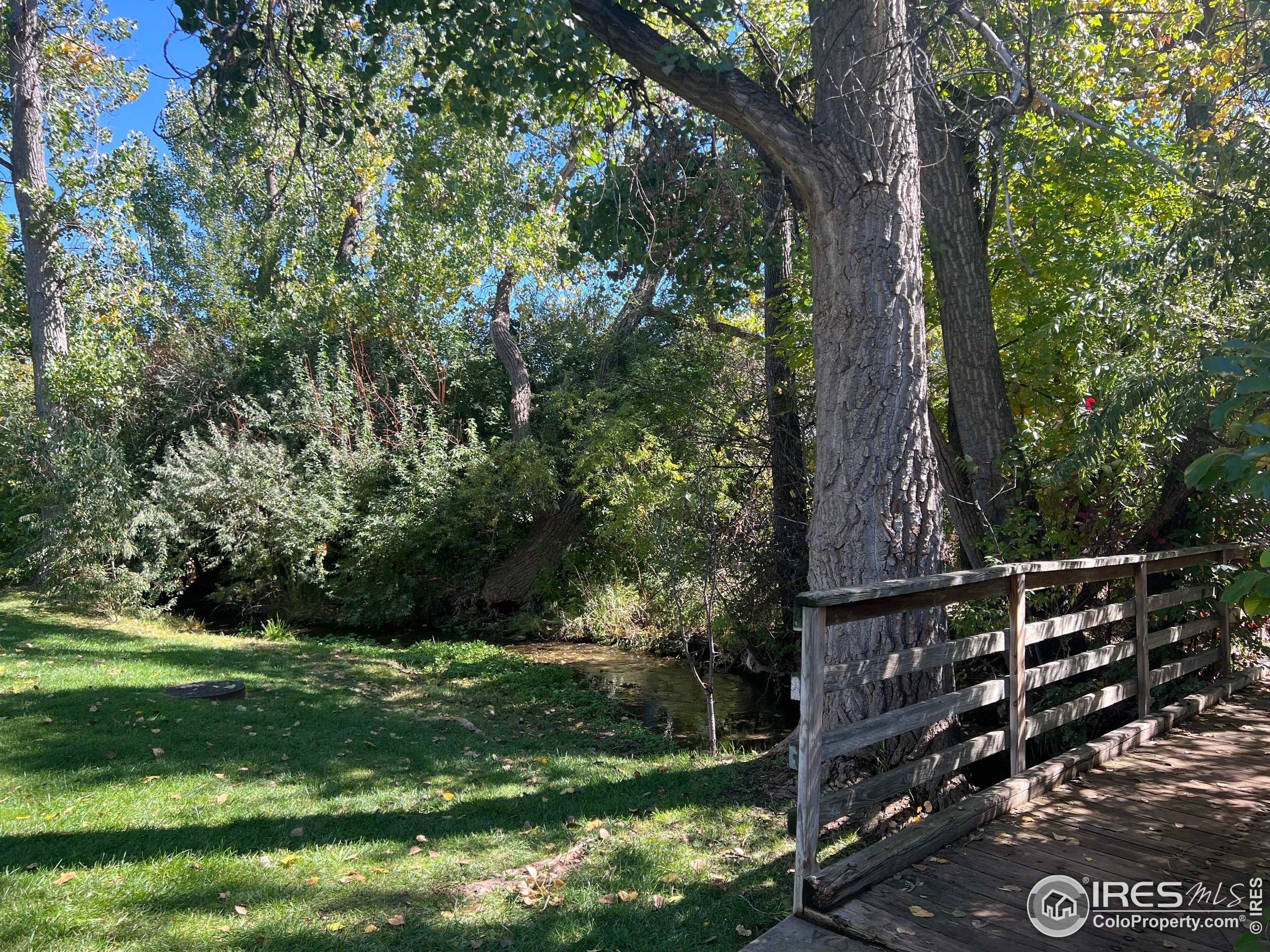 1705 Heatheridge Road, Unit M204 Fort Collins, CO 80526 - Photo 22 of 35 a view of a yard with plants