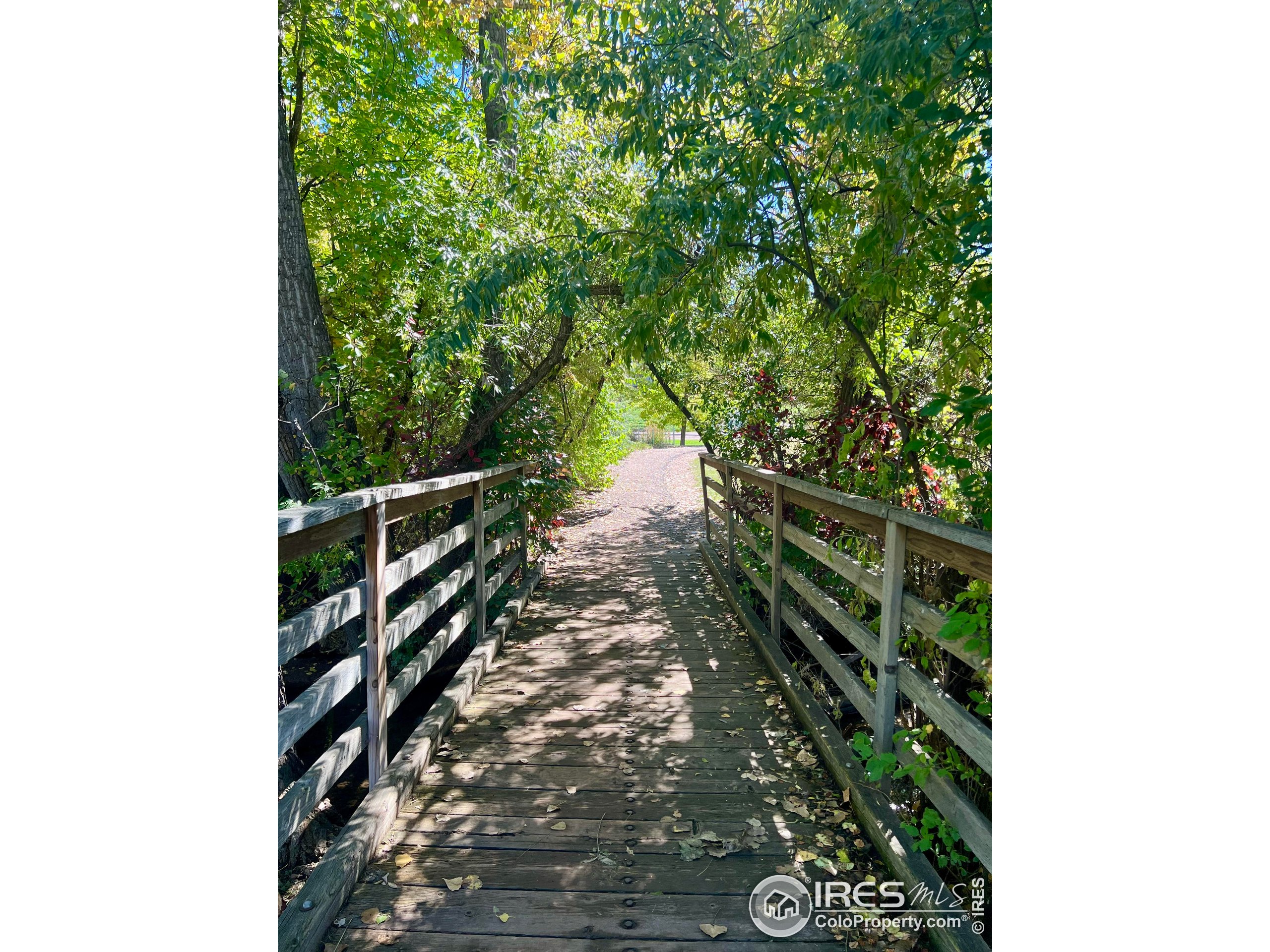 1705 Heatheridge Road, Unit M204 Fort Collins, CO 80526 - Photo 23 of 35 a view of a garden