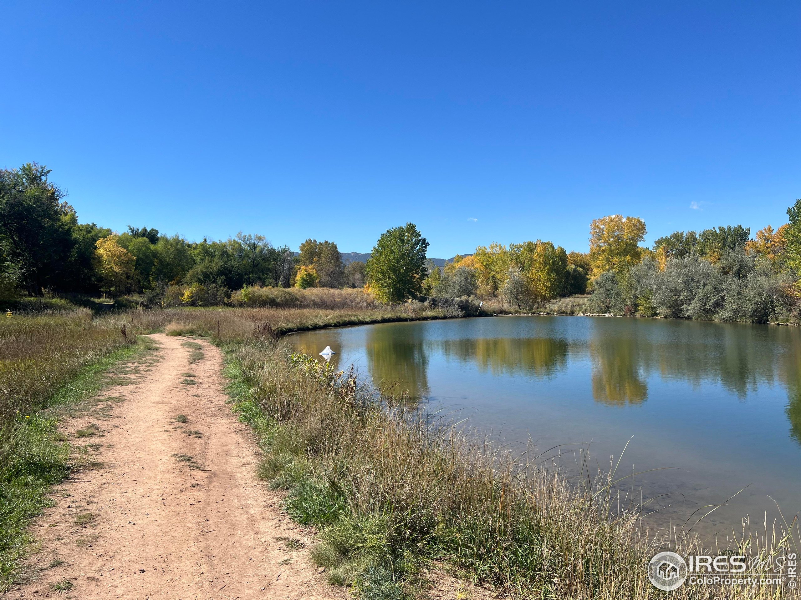1705 Heatheridge Road, Unit M204 Fort Collins, CO 80526 - Photo 25 of 35 a view of a lake with a large trees