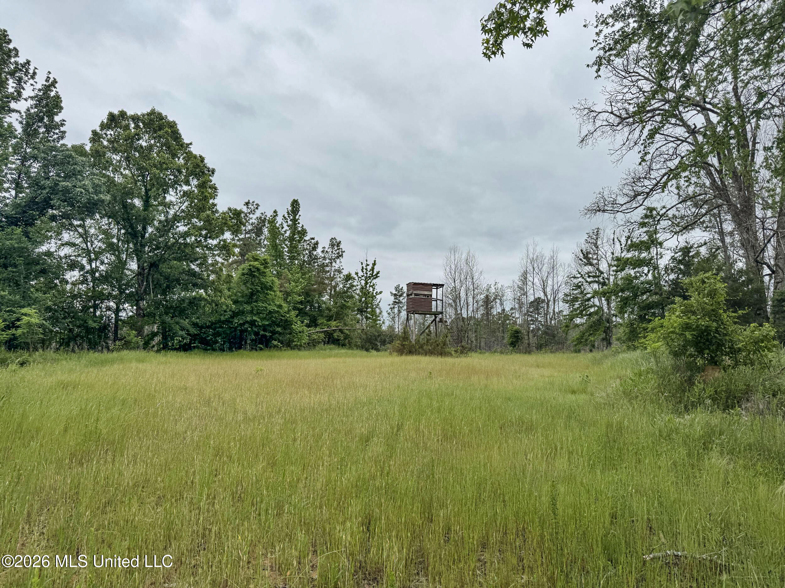 Wayne Massie Road Como, MS 38619 - Photo 141 of 184 5cdtbs85