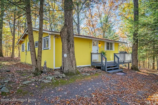 a view of a backyard with large tree