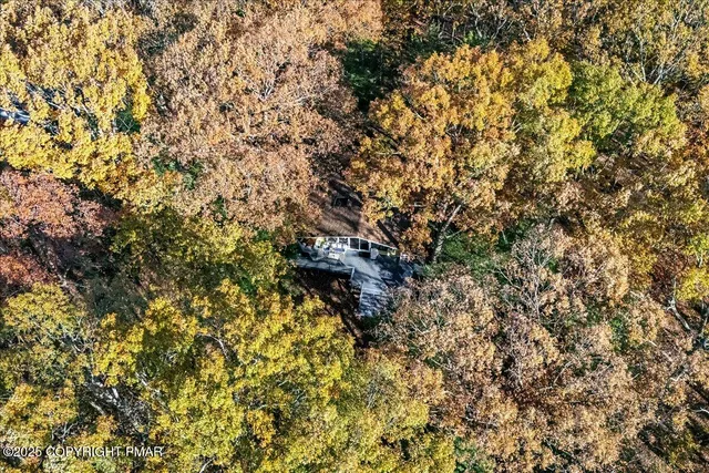 a view of a yard with a wooden fence