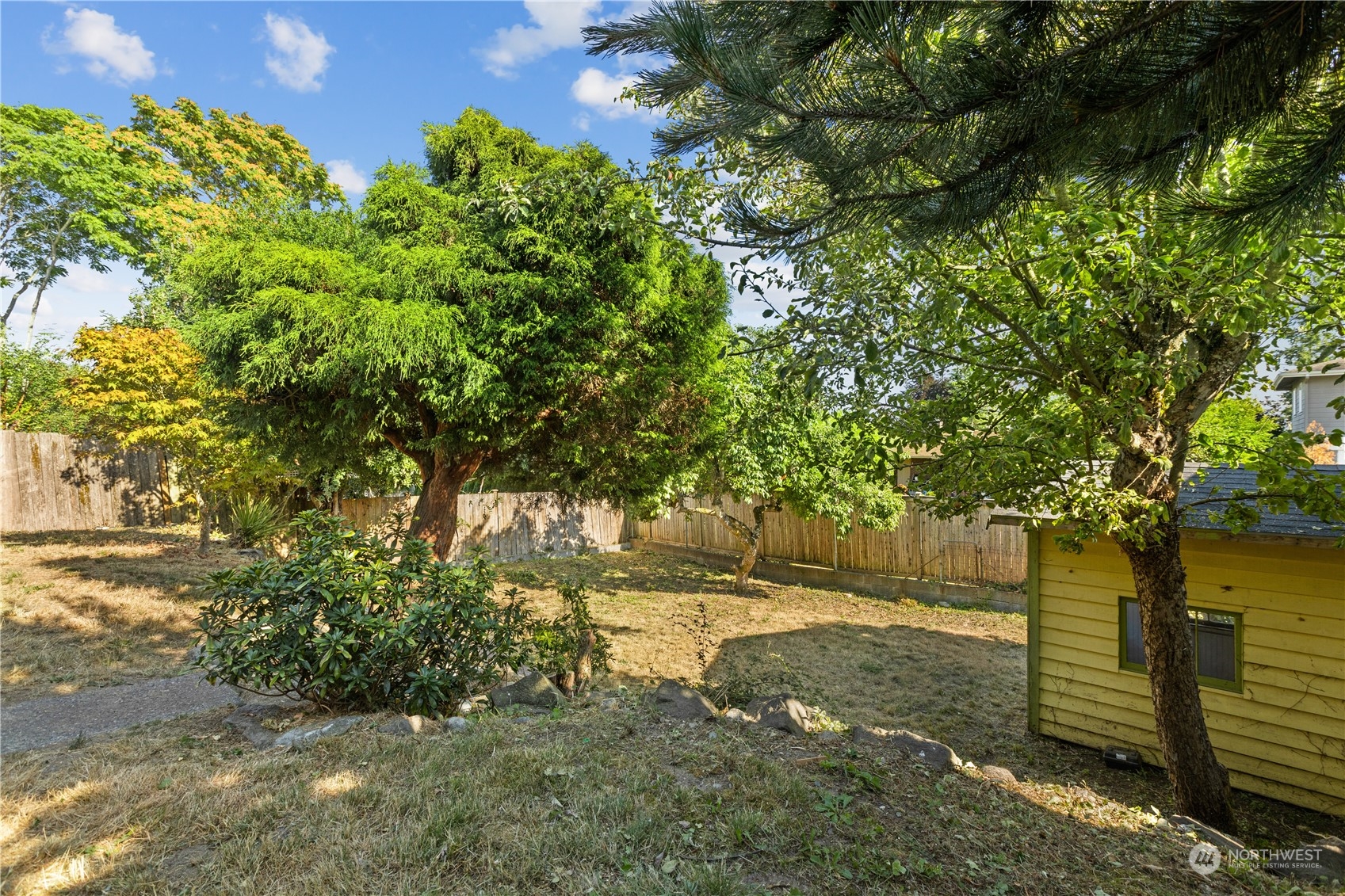 4115 Southwest 106th Street Seattle, WA 98146 - Photo 39 of 40 a view of a yard with trees
