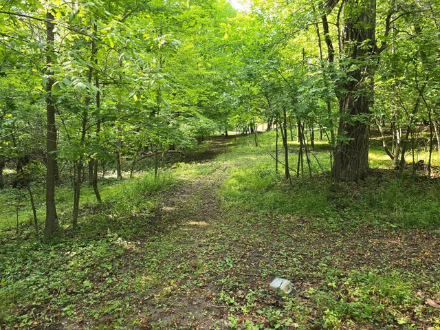 $525,000 | 17135 200 Street, Lake Park, MN 56554