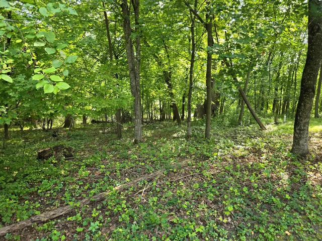 $525,000 | 17135 200 Street, Lake Park, MN 56554