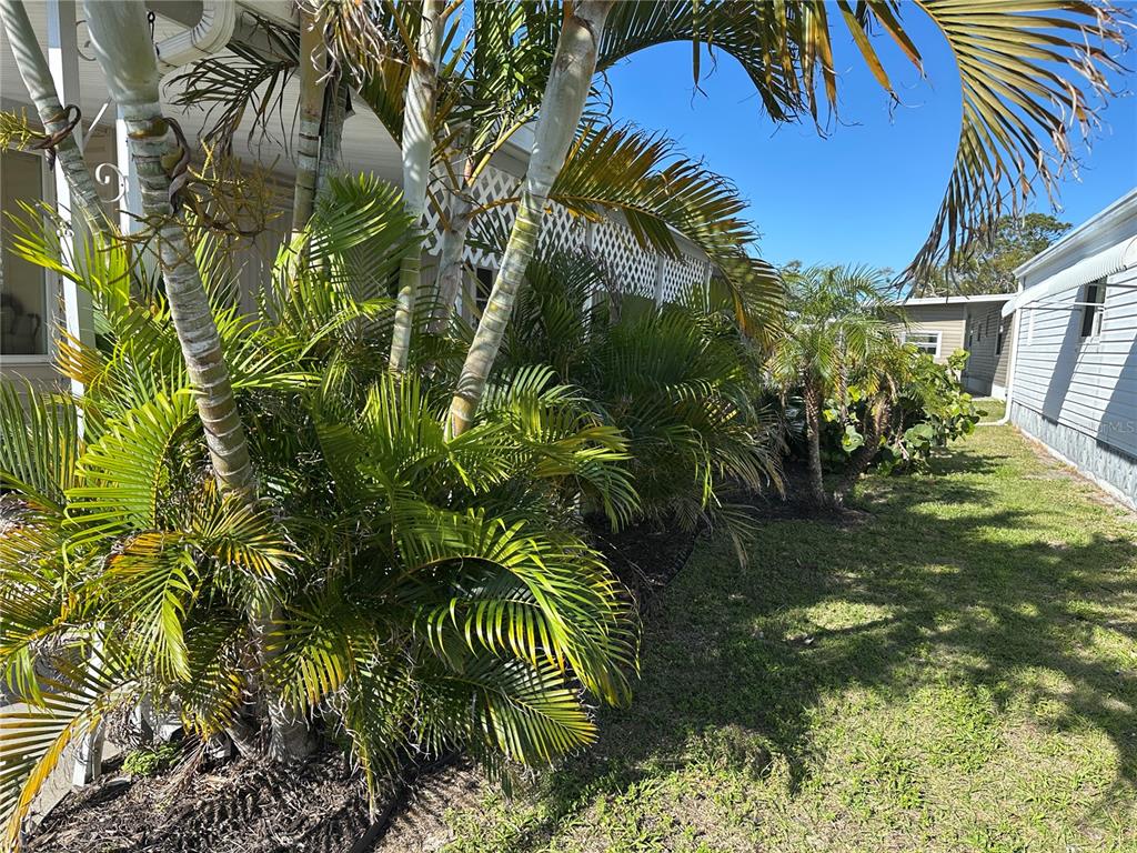 5800 Forsythia Road Venice, FL 34293 - Photo 17 of 27 a view of yard