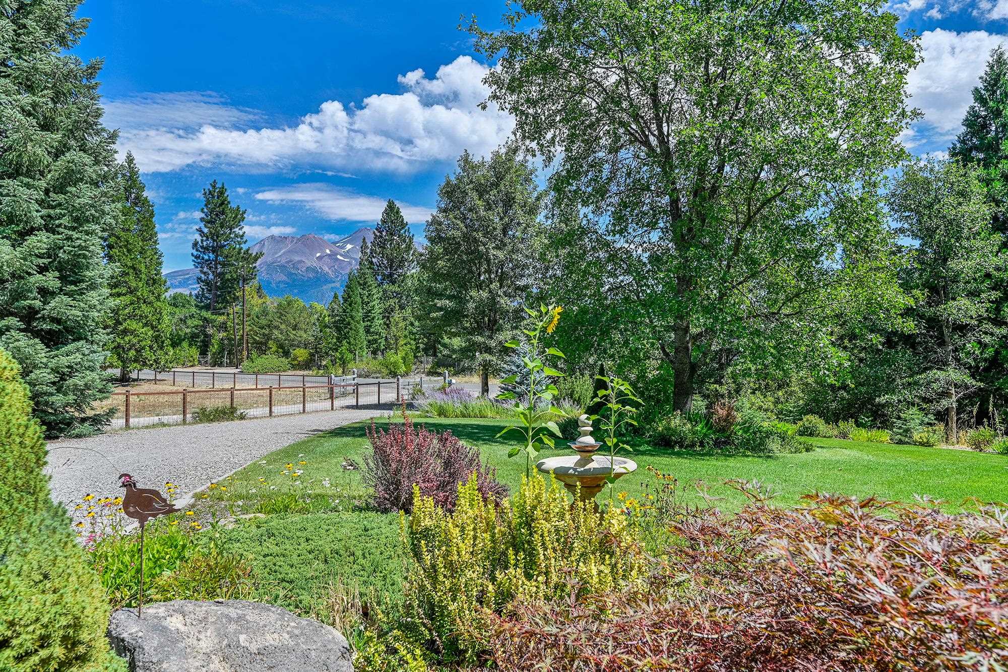 1647 Davis Place Road Mount Shasta, CA 96067 - Photo 5 of 41 Gallery Image 5