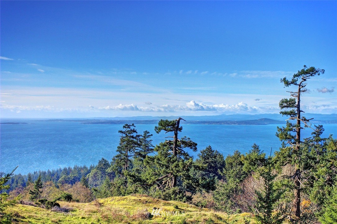 210 Stormridge Road Friday Harbor, WA 98250 - Photo 4 of 15 Gallery Image 4