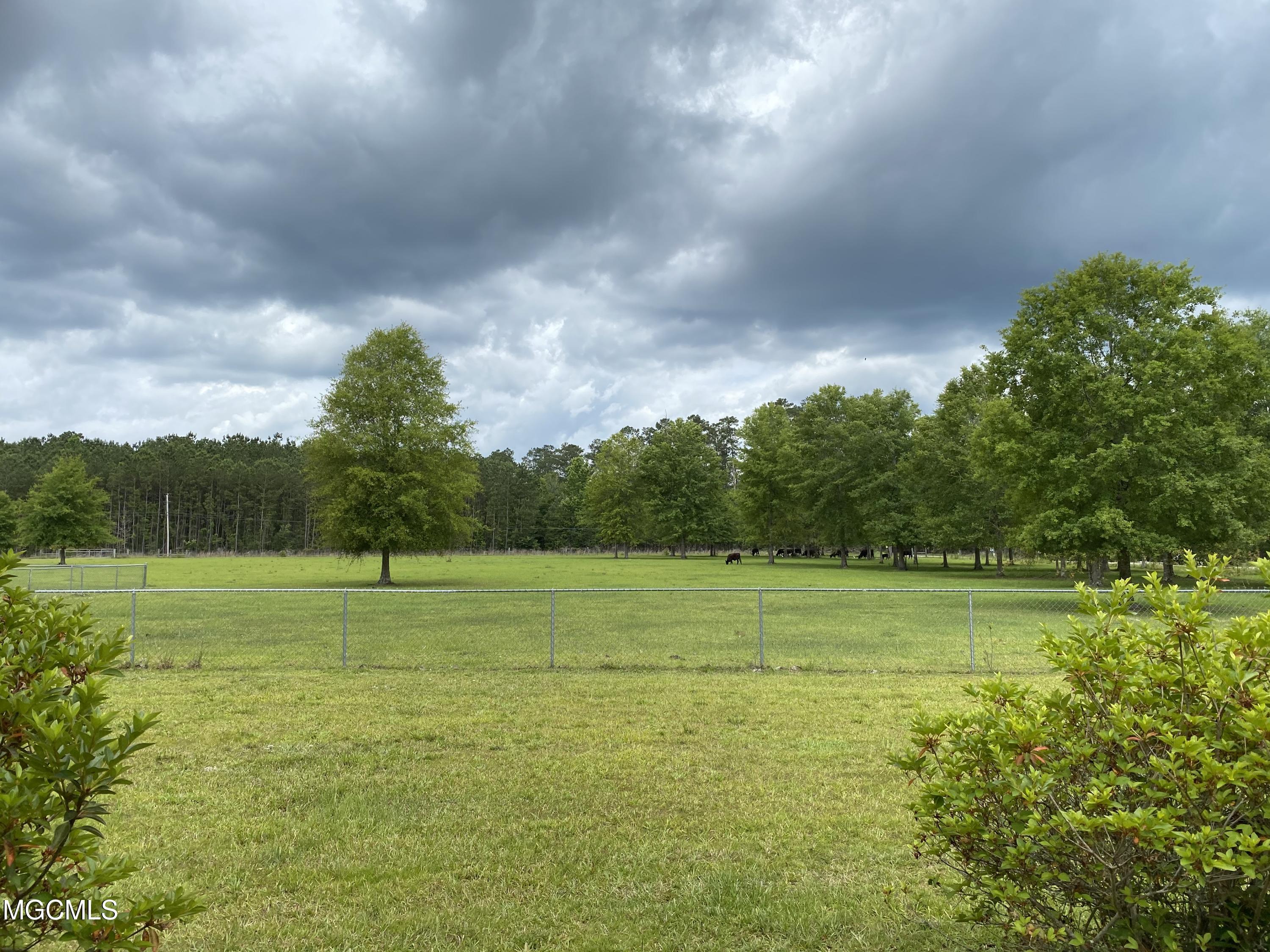 523 Pine Grove Road Picayune, MS 39466 - Photo 9 of 10 IMG_4533