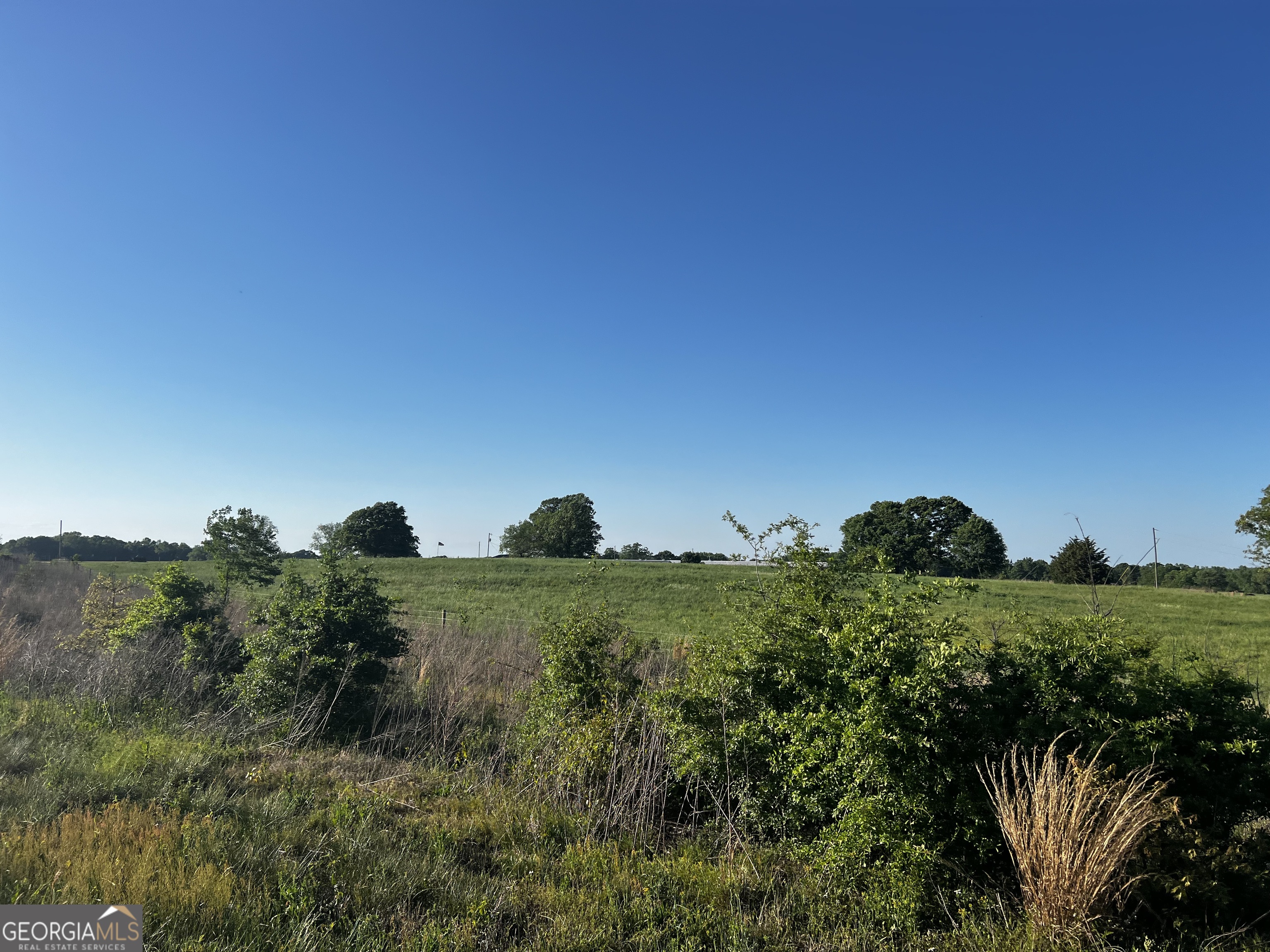 0 Bethany Bowersville Road Canon, GA 30516 - Photo 6 of 9