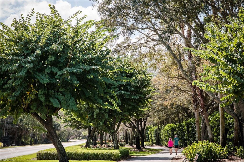 2730 Cypress Trace Circle, Unit 2820 Naples, FL 34119 - Photo 38 of 38 a view of a tree in a park
