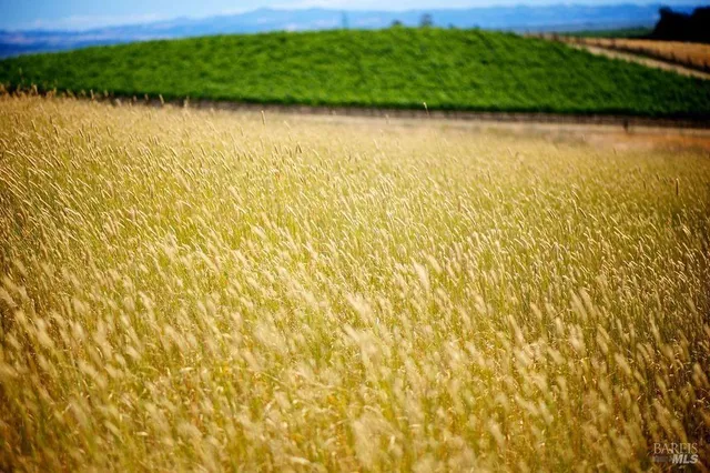 a view of a lake view