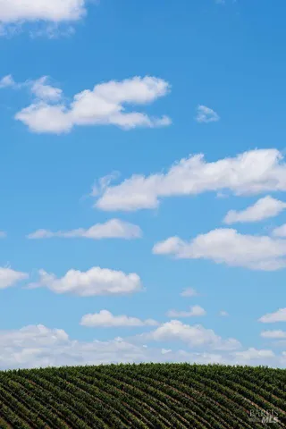 a view of city and mountain