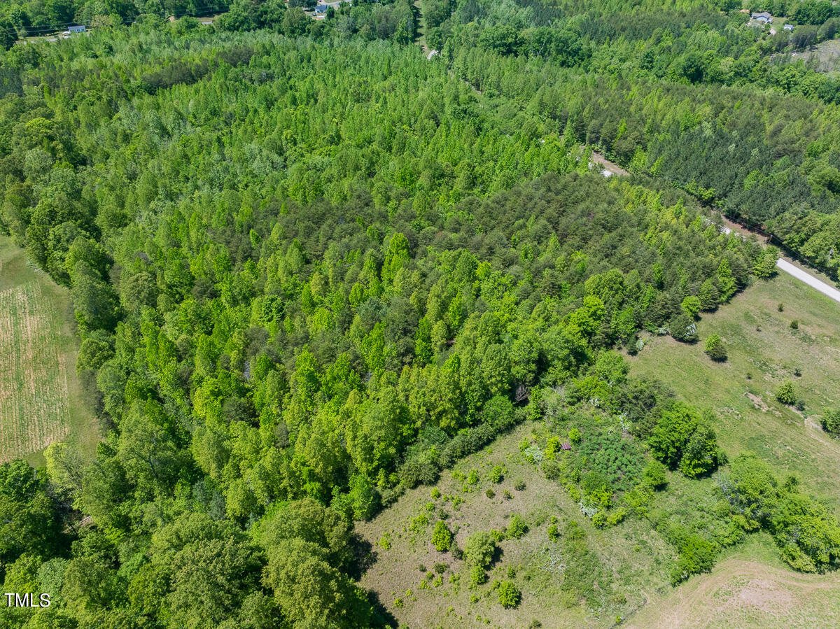 Lot-4-00 Wilson Road Providence, NC 27315 - Photo 20 of 38 Caswell Co. NC -Wilsons Ridge-Lot 4-20