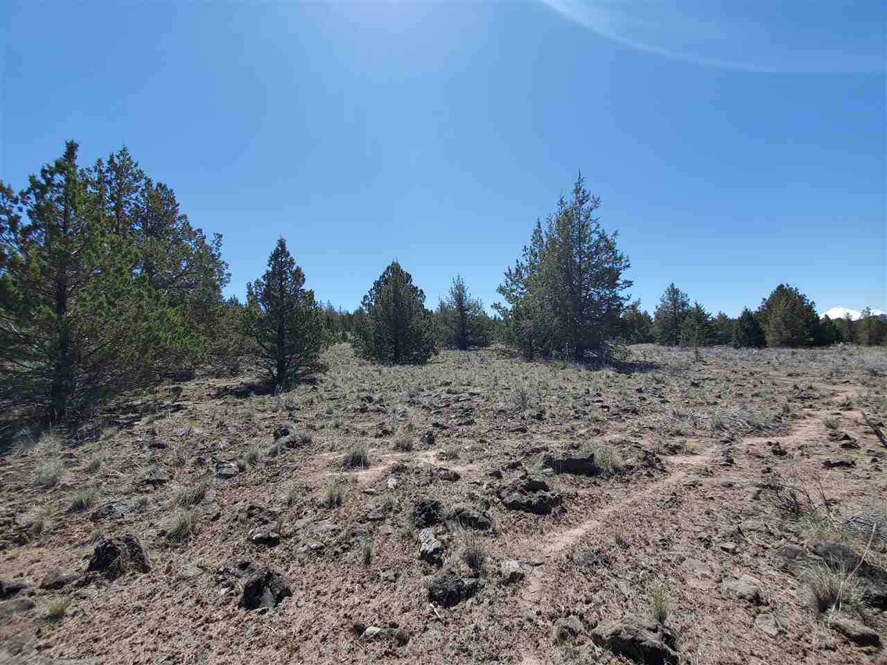 Off Homeland Rd Off Homeland Road Macdoel, CA 96058 - Photo 19 of 24 Gallery Image 19
