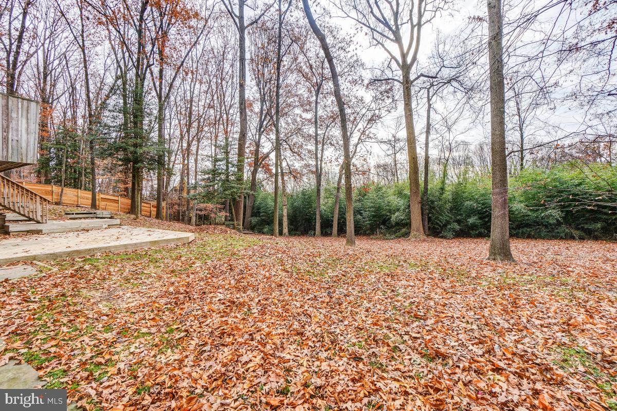 7702 Hamilton Spring Road Bethesda, MD 20817 - Photo 43 of 43 Back Yard